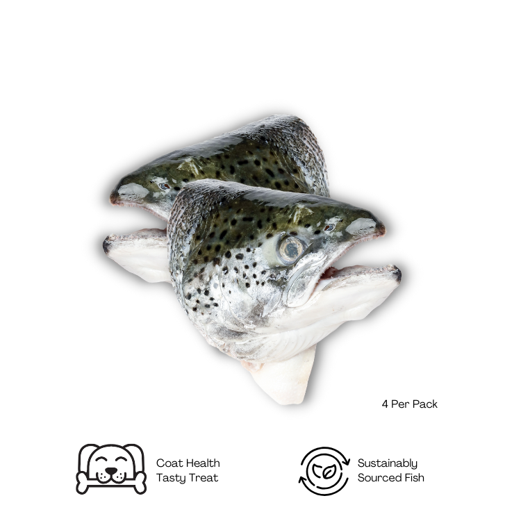 Fresh Raw Salmon Heads Bones Treats for Dogs, Cats Puppies