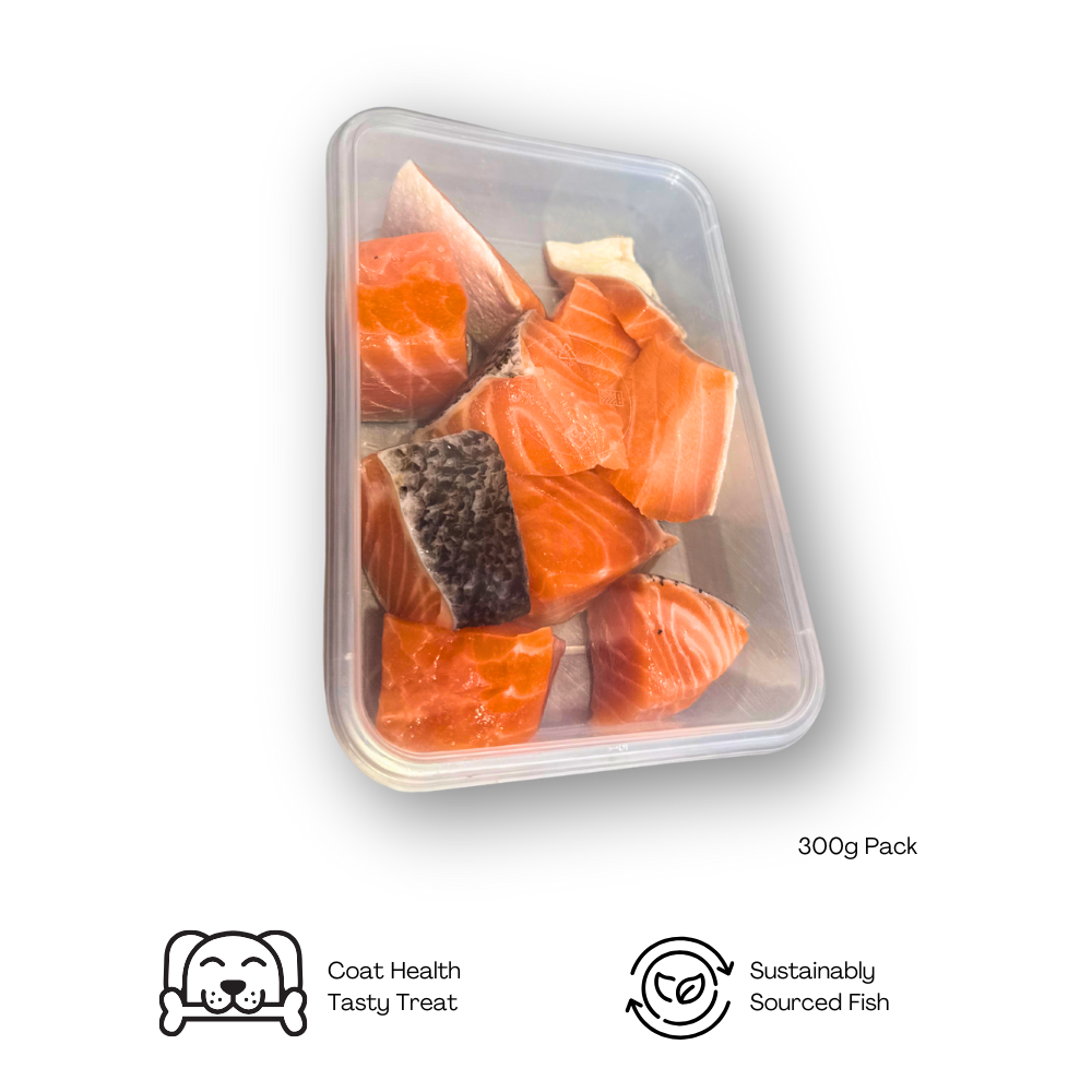 Raw Chopped Salmon Bites