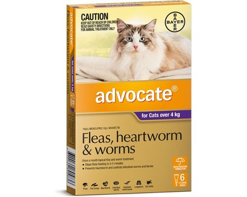 Advocate, Cats + 4Kg 3 Pack