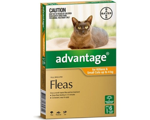Advantage, Kittens & Cats